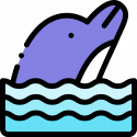 Forty Purple Porpoises by Kenn Nesbitt