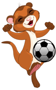 Ferret Soccer