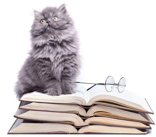 Cat with Glasses and Books